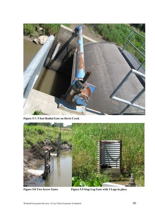 Wetland Ecosystem Services: A Use Value Economic Evaluation 40
Figure 5.7: 5 foot Radial Gate on Davis Creek
Figure 5.8 Two Screw Gates Figure 5.9 Stop Log Gate with 3 Logs in place
 