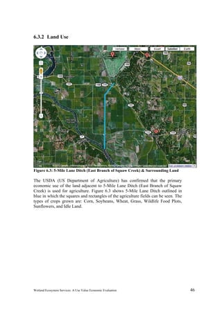 Wetland Ecosystem Services: A Use Value Economic Evaluation 46
6.3.2 Land Use
Figure 6.3: 5-Mile Lane Ditch (East Branch of Squaw Creek) & Surrounding Land
The USDA (US Department of Agriculture) has confirmed that the primary
economic use of the land adjacent to 5-Mile Lane Ditch (East Branch of Squaw
Creek) is used for agriculture. Figure 6.3 shows 5-Mile Lane Ditch outlined in
blue in which the squares and rectangles of the agriculture fields can be seen. The
types of crops grown are: Corn, Soybeans, Wheat, Grass, Wildlife Food Plots,
Sunflowers, and Idle Land.
 