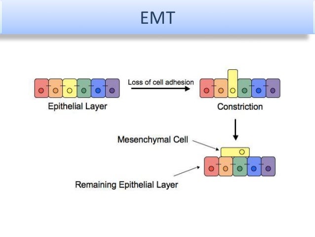 role-of-transcriptomics-in-gene-expression-studies-and