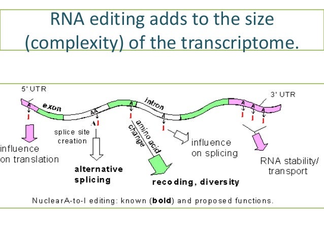 role-of-transcriptomics-in-gene-expression-studies-and