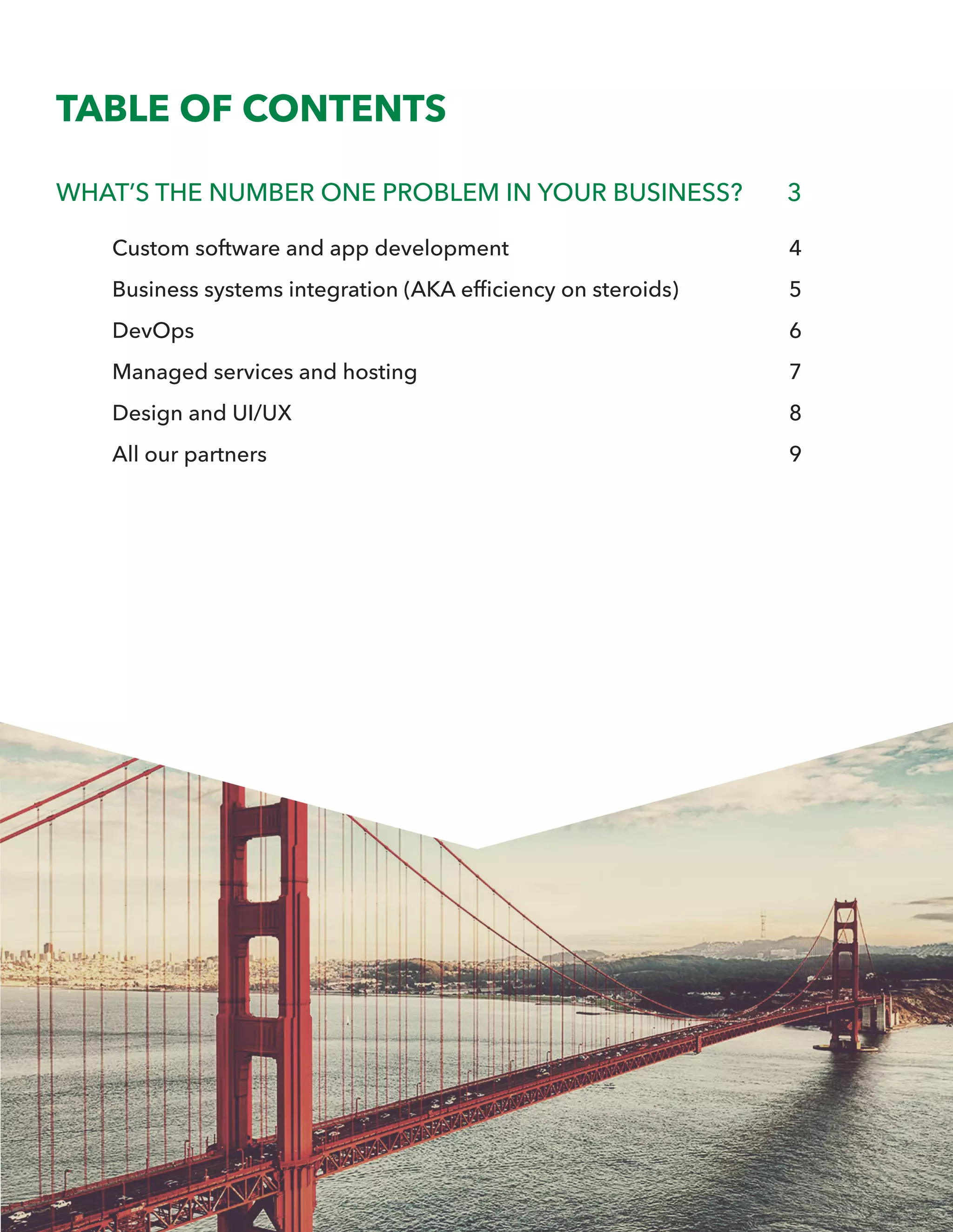 TABLE OF CONTENTS
WHAT’S THE NUMBER ONE PROBLEM IN YOUR BUSINESS?	 3
Custom software and app development	 4
Business systems integration (AKA efficiency on steroids)	 5
DevOps	 6
Managed services and hosting	 7
Design and UI/UX	 8
All our partners	 9
 