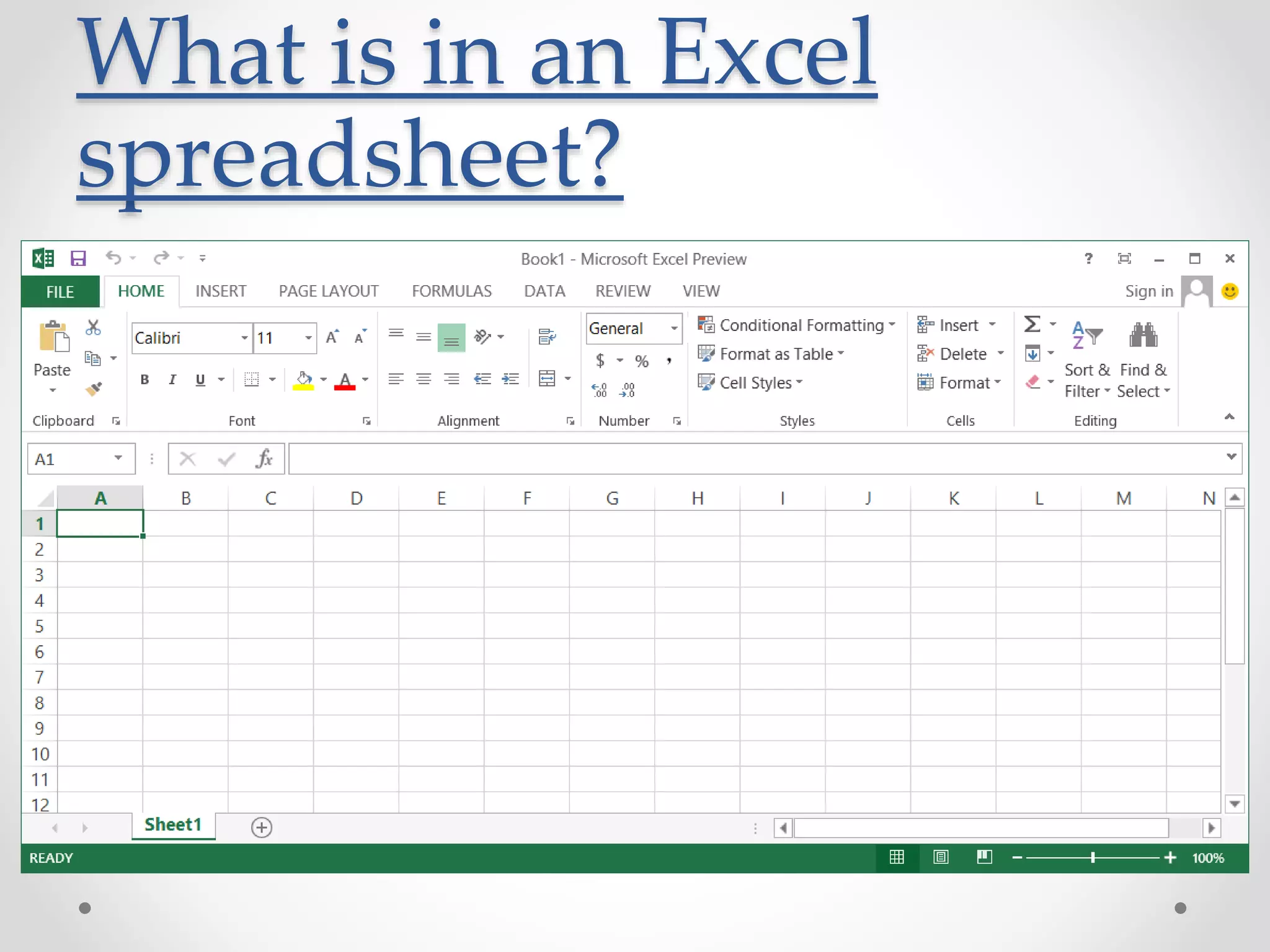 What is in an Excel
spreadsheet?
 