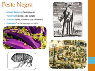 Peste Negra
• Agente Etiológico: Yersinia pestis
• Transmissão:picadasde pulgas
• Sintomas:febre, aumento dos linfonodos
• Profilaxia: Combaterpulgase ratos
 