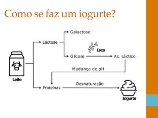 Glicose Ac. Láctico
Galactose
Lactose
Isca
Mudança de pH
Desnaturação
Proteínas
Iogurte
Leite
Como se faz um iogurte?
 