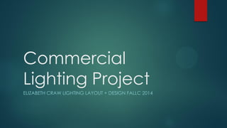 Commercial
Lighting Project
ELIZABETH CRAW LIGHTING LAYOUT + DESIGN FALLC 2014
 