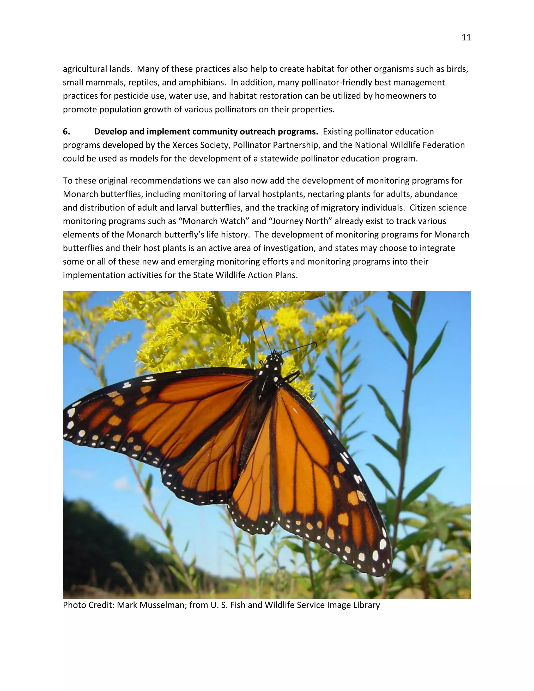 11
agricultural lands. Many of these practices also help to create habitat for other organisms such as birds,
small mammals, reptiles, and amphibians. In addition, many pollinator-friendly best management
practices for pesticide use, water use, and habitat restoration can be utilized by homeowners to
promote population growth of various pollinators on their properties.
6. Develop and implement community outreach programs. Existing pollinator education
programs developed by the Xerces Society, Pollinator Partnership, and the National Wildlife Federation
could be used as models for the development of a statewide pollinator education program.
To these original recommendations we can also now add the development of monitoring programs for
Monarch butterflies, including monitoring of larval hostplants, nectaring plants for adults, abundance
and distribution of adult and larval butterflies, and the tracking of migratory individuals. Citizen science
monitoring programs such as “Monarch Watch” and “Journey North” already exist to track various
elements of the Monarch butterfly’s life history. The development of monitoring programs for Monarch
butterflies and their host plants is an active area of investigation, and states may choose to integrate
some or all of these new and emerging monitoring efforts and monitoring programs into their
implementation activities for the State Wildlife Action Plans.
Photo Credit: Mark Musselman; from U. S. Fish and Wildlife Service Image Library
 
