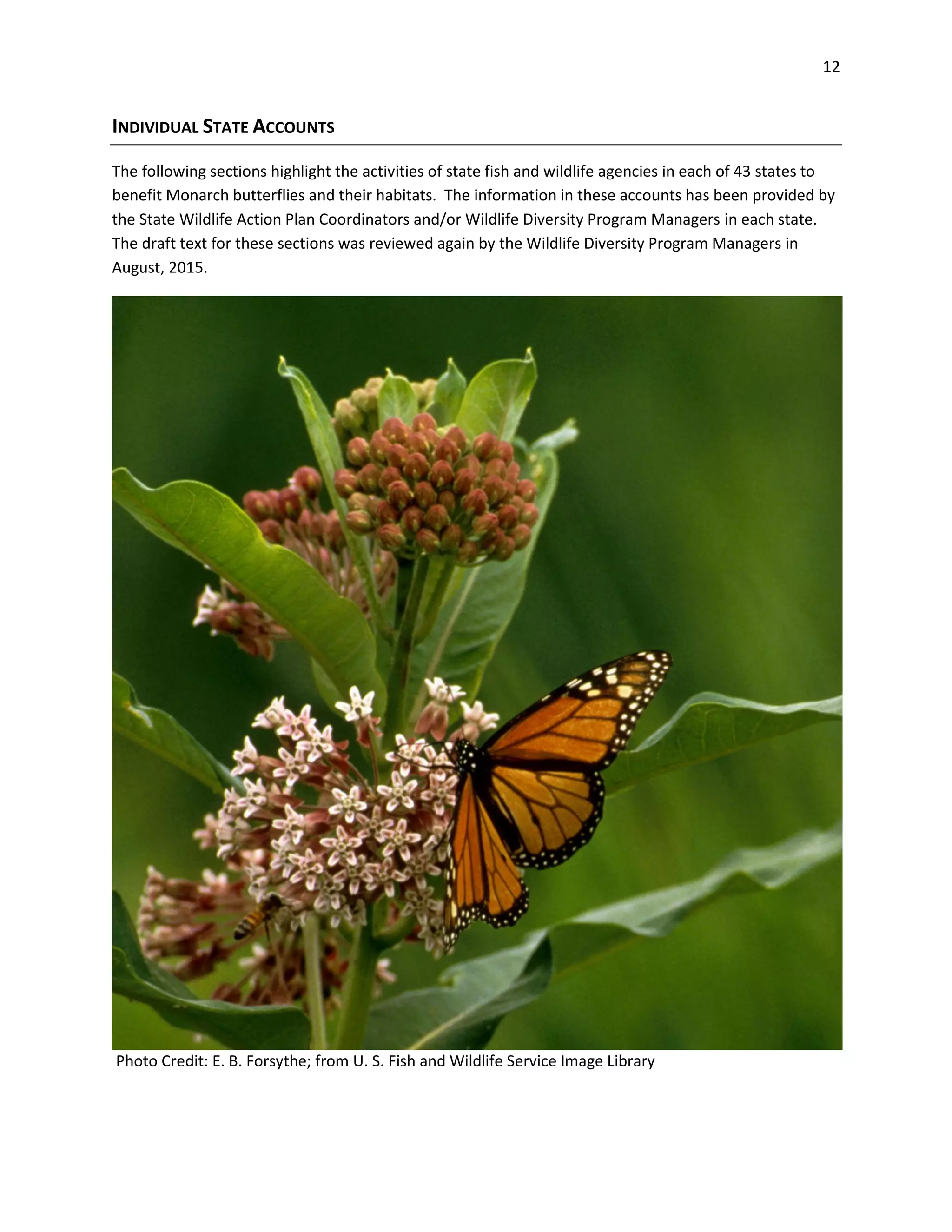 12
INDIVIDUAL STATE ACCOUNTS
The following sections highlight the activities of state fish and wildlife agencies in each of 43 states to
benefit Monarch butterflies and their habitats. The information in these accounts has been provided by
the State Wildlife Action Plan Coordinators and/or Wildlife Diversity Program Managers in each state.
The draft text for these sections was reviewed again by the Wildlife Diversity Program Managers in
August, 2015.
Photo Credit: E. B. Forsythe; from U. S. Fish and Wildlife Service Image Library
 