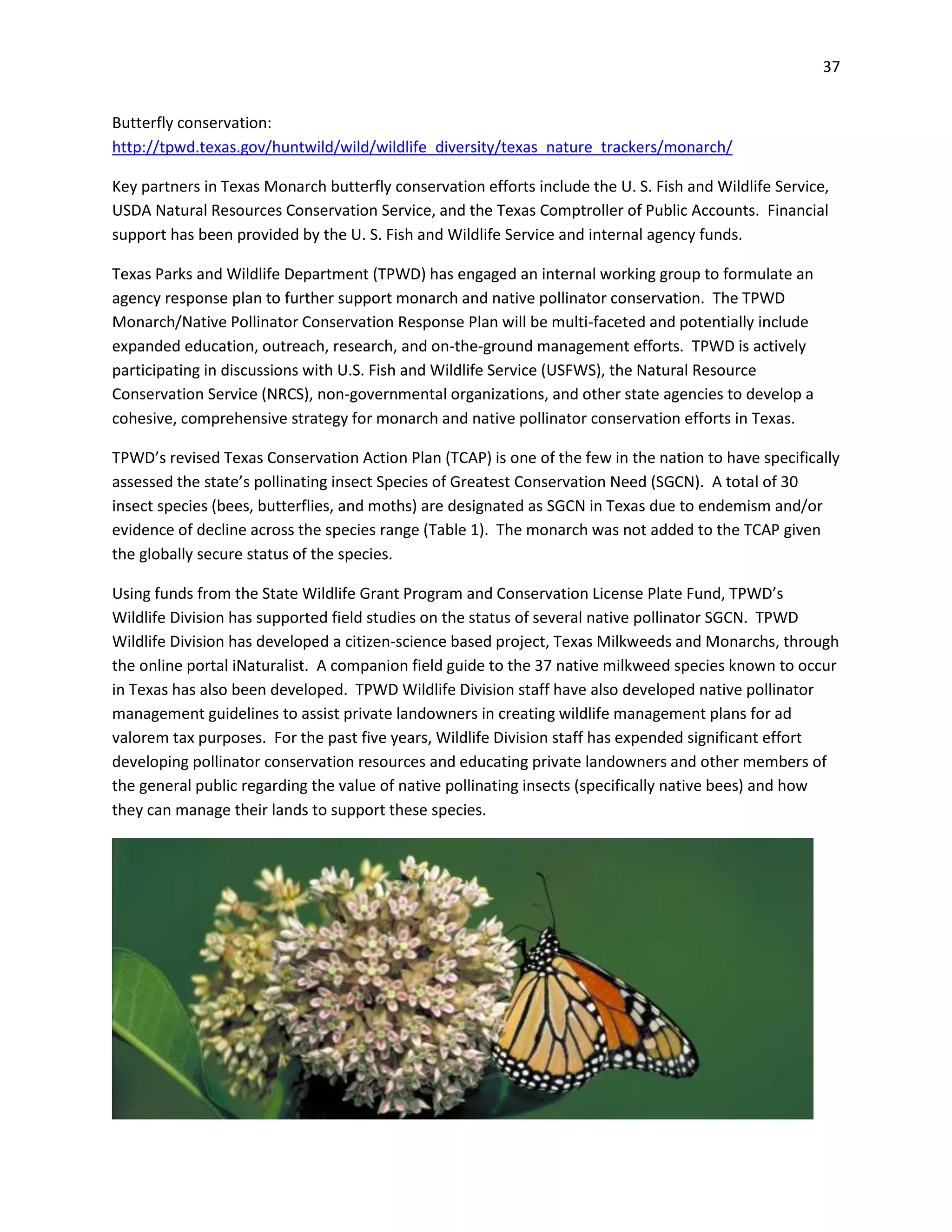 37
Butterfly conservation:
http://tpwd.texas.gov/huntwild/wild/wildlife_diversity/texas_nature_trackers/monarch/
Key partners in Texas Monarch butterfly conservation efforts include the U. S. Fish and Wildlife Service,
USDA Natural Resources Conservation Service, and the Texas Comptroller of Public Accounts. Financial
support has been provided by the U. S. Fish and Wildlife Service and internal agency funds.
Texas Parks and Wildlife Department (TPWD) has engaged an internal working group to formulate an
agency response plan to further support monarch and native pollinator conservation. The TPWD
Monarch/Native Pollinator Conservation Response Plan will be multi-faceted and potentially include
expanded education, outreach, research, and on-the-ground management efforts. TPWD is actively
participating in discussions with U.S. Fish and Wildlife Service (USFWS), the Natural Resource
Conservation Service (NRCS), non-governmental organizations, and other state agencies to develop a
cohesive, comprehensive strategy for monarch and native pollinator conservation efforts in Texas.
TPWD’s revised Texas Conservation Action Plan (TCAP) is one of the few in the nation to have specifically
assessed the state’s pollinating insect Species of Greatest Conservation Need (SGCN). A total of 30
insect species (bees, butterflies, and moths) are designated as SGCN in Texas due to endemism and/or
evidence of decline across the species range (Table 1). The monarch was not added to the TCAP given
the globally secure status of the species.
Using funds from the State Wildlife Grant Program and Conservation License Plate Fund, TPWD’s
Wildlife Division has supported field studies on the status of several native pollinator SGCN. TPWD
Wildlife Division has developed a citizen-science based project, Texas Milkweeds and Monarchs, through
the online portal iNaturalist. A companion field guide to the 37 native milkweed species known to occur
in Texas has also been developed. TPWD Wildlife Division staff have also developed native pollinator
management guidelines to assist private landowners in creating wildlife management plans for ad
valorem tax purposes. For the past five years, Wildlife Division staff has expended significant effort
developing pollinator conservation resources and educating private landowners and other members of
the general public regarding the value of native pollinating insects (specifically native bees) and how
they can manage their lands to support these species.
 