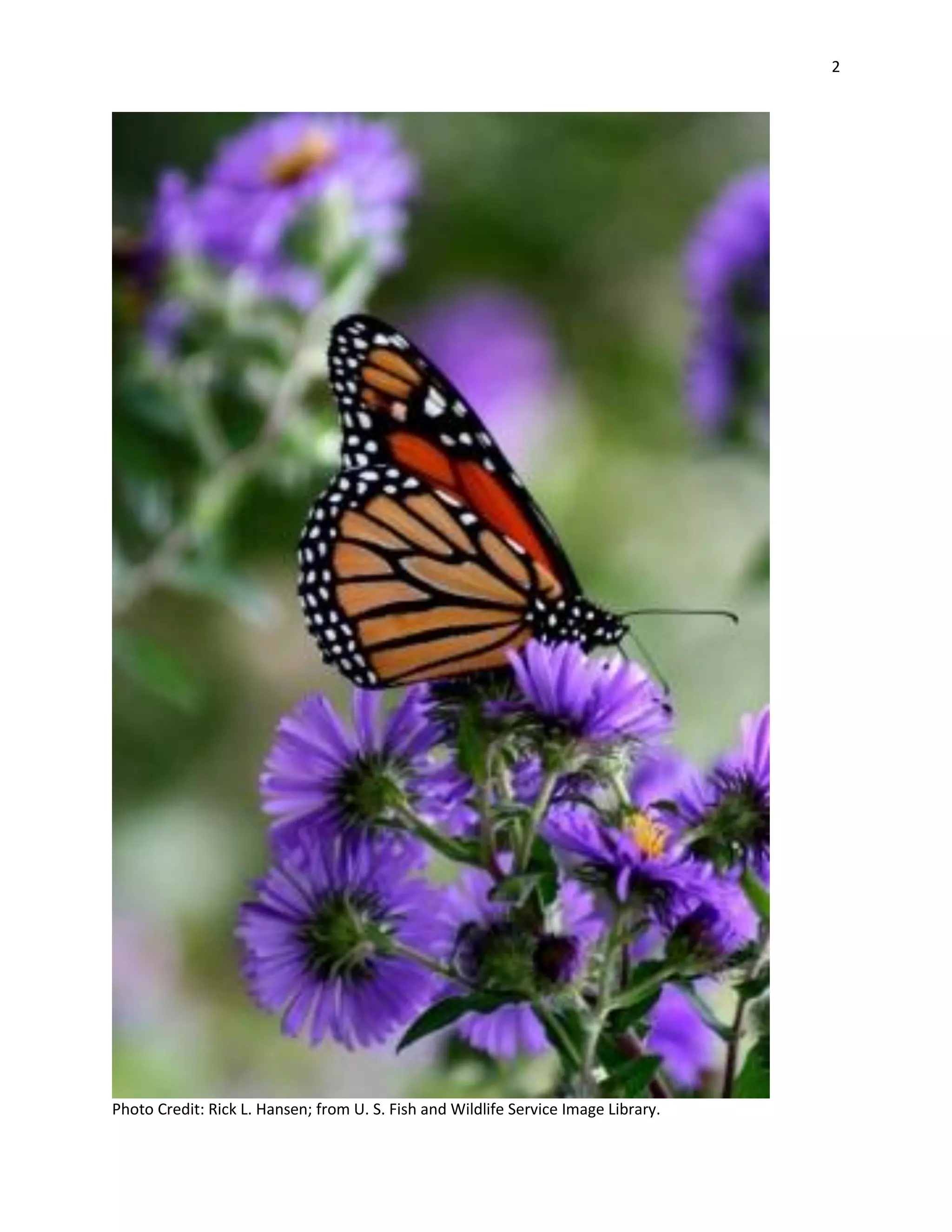 2
Photo Credit: Rick L. Hansen; from U. S. Fish and Wildlife Service Image Library.
 