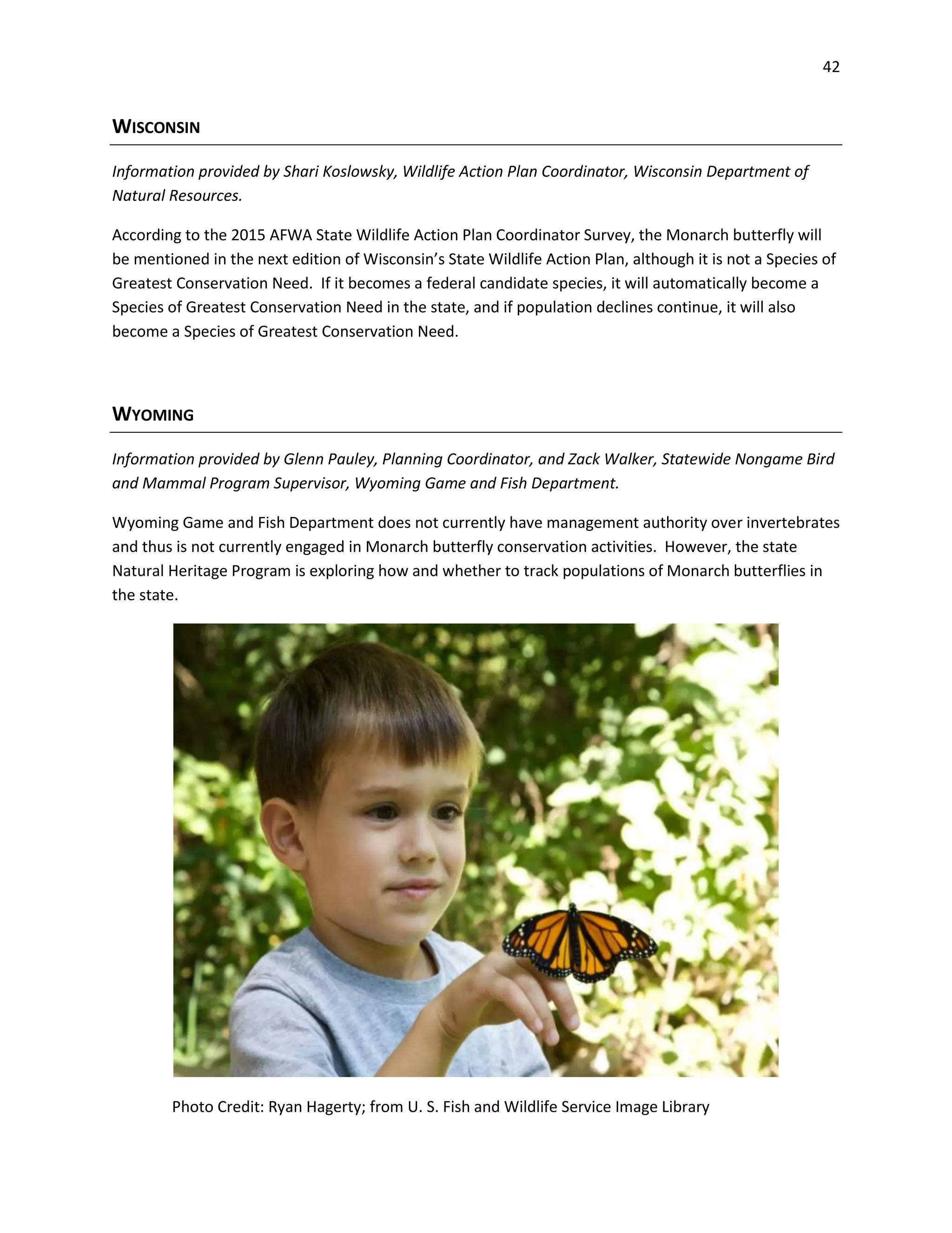 42
WISCONSIN
Information provided by Shari Koslowsky, Wildlife Action Plan Coordinator, Wisconsin Department of
Natural Resources.
According to the 2015 AFWA State Wildlife Action Plan Coordinator Survey, the Monarch butterfly will
be mentioned in the next edition of Wisconsin’s State Wildlife Action Plan, although it is not a Species of
Greatest Conservation Need. If it becomes a federal candidate species, it will automatically become a
Species of Greatest Conservation Need in the state, and if population declines continue, it will also
become a Species of Greatest Conservation Need.
WYOMING
Information provided by Glenn Pauley, Planning Coordinator, and Zack Walker, Statewide Nongame Bird
and Mammal Program Supervisor, Wyoming Game and Fish Department.
Wyoming Game and Fish Department does not currently have management authority over invertebrates
and thus is not currently engaged in Monarch butterfly conservation activities. However, the state
Natural Heritage Program is exploring how and whether to track populations of Monarch butterflies in
the state.
Photo Credit: Ryan Hagerty; from U. S. Fish and Wildlife Service Image Library
 