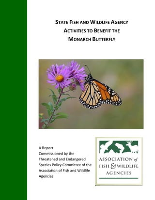 STATE FISH AND WILDLIFE AGENCY
ACTIVITIES TO BENEFIT THE
MONARCH BUTTERFLY
A Report
Commissioned by the
Threatened and Endangered
Species Policy Committee of the
Association of Fish and Wildlife
Agencies
 