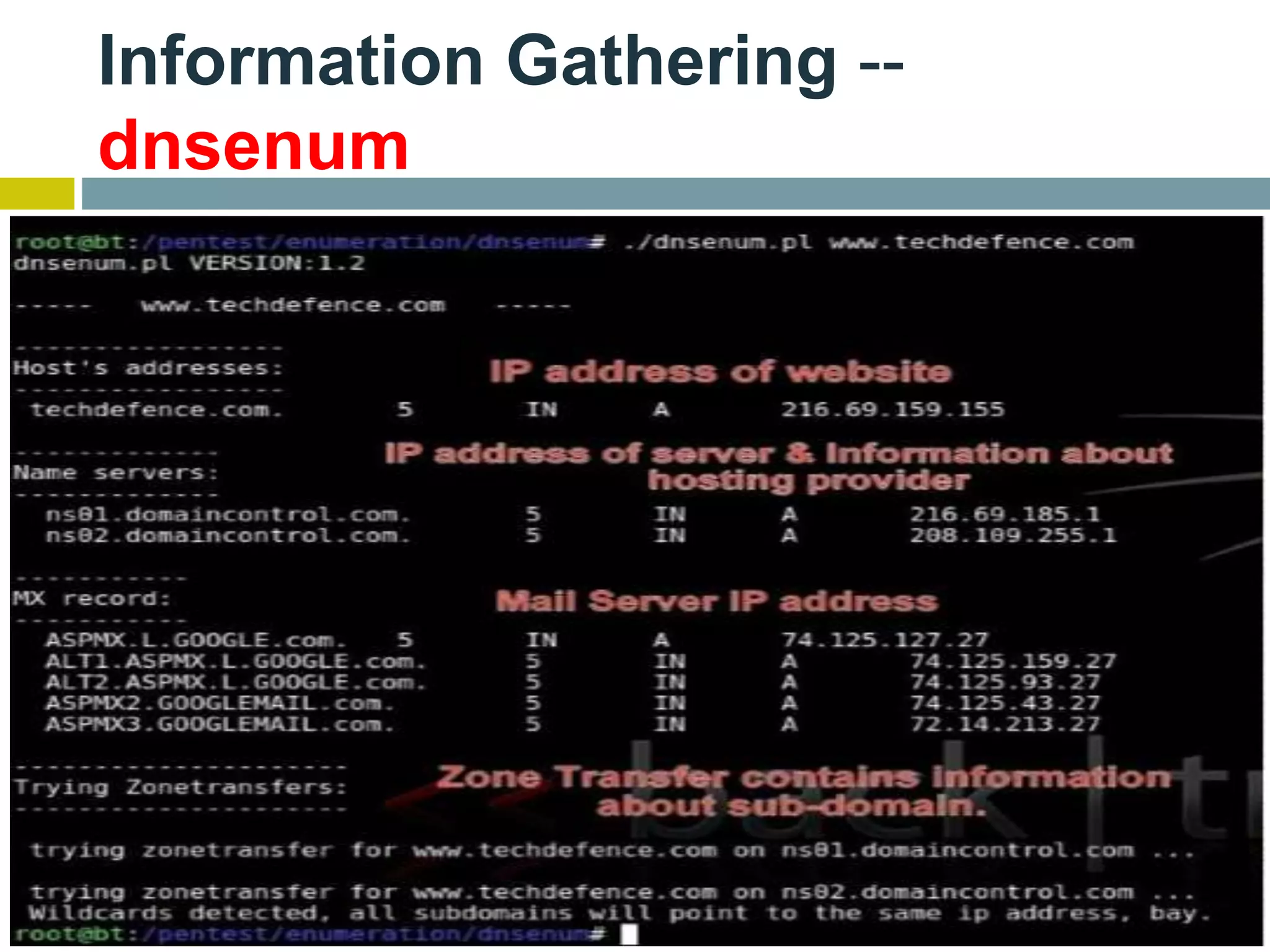 Information Gathering --
dnsenum
 