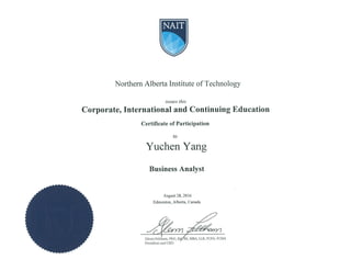 Business Analyst Certificate