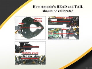 How Antonio’s HEAD and TAIL
should be calibrated
 