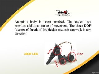 Antonio’s body is insect inspired. The angled legs
provides additional range of movement. The three DOF
(degree of freedom) leg design means it can walk in any
direction!
3DOF LEG
TIBIA
FEMUR
COXA
 
