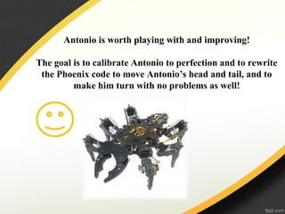 Antonio is worth playing with and improving!
The goal is to calibrate Antonio to perfection and to rewrite
the Phoenix code to move Antonio’s head and tail, and to
make him turn with no problems as well!
 