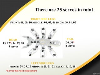 There are 25 servos in total
RIGHT SIDE LEGS
FRONT: 08, 09, 10 MIDDLE: 04, 05, 06 BACK: 00, 01, 02
LEFT SIDE LEGS
FRONT: 24, 25, 26 MIDDLE: 20, 21, 22 BACK: 16, 17, 18
TAIL
30, 31*
2 servos
HEAD
13, 12*, 14, 29, 28
5 servos
*Servos that need replacement
 