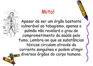 Mito!
Apesar de ser um órgão bastante
vulnerável ao tabagismo, apenas o
pulmão não revelará o grau de
comprometimento da saúde pelo
fumo. Lembre-se que as substâncias
tóxicas circulam através da
corrente sanguínea e podem atingir
diversos órgãos do corpo humano.
 