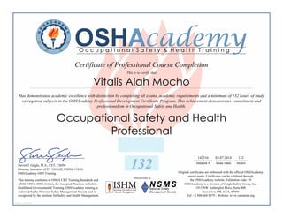 132 HRS OSH PROFESSIONAL