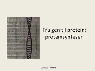 Fra gen til protein:
 proteinsyntesen
 