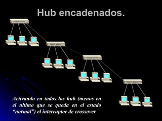 Hub encadenados.
Activando en todos los hub (menos en
el ultimo que se queda en el estado
“normal”) el interruptor de crossover
 