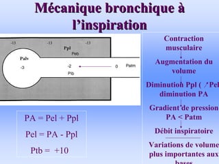 M
Mé
écanique bronchique
canique bronchique à
à
l
l’
’inspiration
inspiration
• .
Contraction
musculaire
Augmentation du
volume
Diminution Ppl ( Pel)
diminution PA
Gradient de pression
PA < Patm
Débit inspiratoire
Variations de volume
plus importantes aux
bases
PA = Pel + Ppl
Pel = PA - Ppl
Ptb = +10
 