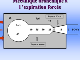 M
Mé
écanique bronchique
canique bronchique à
à
l
l ’
’expiration forc
expiration forcé
ée
e
POVa
Ppl
20
35
40
45
Palv
25
25
0
30 25
Segment amont
Segment d'aval
15
20
40 35 30 25
MR
 