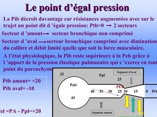 Le point d
Le point d’é
’égal pression
gal pression
• La Pib décroît davantage car résistances augmentées avec sur le
trajet un point dit d ’égale pression: Ptb=0 2 secteurs
- Secteur d ’amont secteur bronchique non comprimé
- Secteur d ’aval secteur bronchique comprimé avec diminution
du calibre et débit limité quelle que soit la force musculaire.
• A l’état physiologique, la Pib reste supérieure à la Peb grâce à
l ’apport de la pression élastique pulmonaire qui s ’exerce en tout
point du parenchyme.
POVa
Ppl
20
35
40
45
Palv
25
25
0
30 25
Segment amont
Segment d'aval
15
20
40 35 30 25
Pel
compression
Ptb amont= +20
Ptb aval= -10
Pel =PA - Ppl=+20
PEP
 