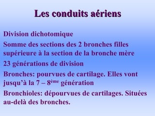 Les conduits a
Les conduits aé
ériens
riens
• Division dichotomique
• Somme des sections des 2 bronches filles
supérieure à la section de la bronche mère
• 23 générations de division
• Bronches: pourvues de cartilage. Elles vont
jusqu’à la 7 – 8ème génération
• Bronchioles: dépourvues de cartilages. Situées
au-delà des bronches.
 