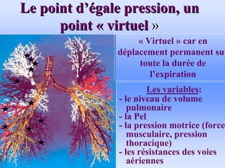 Le point d
Le point d’é
’égale pression, un
gale pression, un
point
point «
« virtuel
virtuel »
»
« Virtuel » car en
déplacement permanent sur
toute la durée de
l’expiration
Les variables:
- le niveau de volume
pulmonaire
- la Pel
- la pression motrice (force
musculaire, pression
thoracique)
- les résistances des voies
aériennes
 