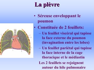 La pl
La plè
èvre
vre
• Séreuse enveloppant le
poumon
• Constituée de 2 feuillets:
– Un feuillet viscéral qui tapisse
la face externe du poumon
(invagination entre les lobes)
– Un feuillet pariétal qui tapisse
la face interne de la cage
thoracique et le médiastin
Les 2 feuillets se rejoignent
autour du hile pulmonaire
 