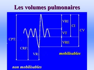 Les volumes pulmonaires
Les volumes pulmonaires
 