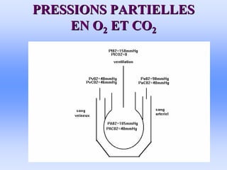 PRESSIONS PARTIELLES
PRESSIONS PARTIELLES
EN O
EN O2
2 ET CO
ET CO2
2
 