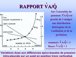 RAPPORT VA/Q
RAPPORT VA/Q
Sur l’ensemble du
poumon: VA/Q est
proche de 1 malgré
une distribution
hétérogène de la
ventilation et de la
perfusion.
- sommets: VA/Q > 1
- Bases: VA/Q < 1
Variations dues aux différences apico-basales de pression
intra-pleurale sur un sujet en position tronc verticalisé.
 