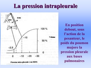La pression intrapleurale
La pression intrapleurale
En position
debout, sous
l’action de la
pesanteur, le
poids du poumon
majore la
pression pleurale
aux bases
pulmonaires
 
