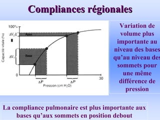 Compliances r
Compliances ré
égionales
gionales
• .
Variation de
volume plus
importante au
niveau des bases
qu’au niveau des
sommets pour
une même
différence de
pression
La compliance pulmonaire est plus importante aux
bases qu’aux sommets en position debout
 