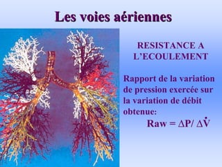 Les voies a
Les voies aé
ériennes
riennes
• .
RESISTANCE A
L’ECOULEMENT
Rapport de la variation
de pression exercée sur
la variation de débit
obtenue:
Raw = ∆P/ ∆V
 