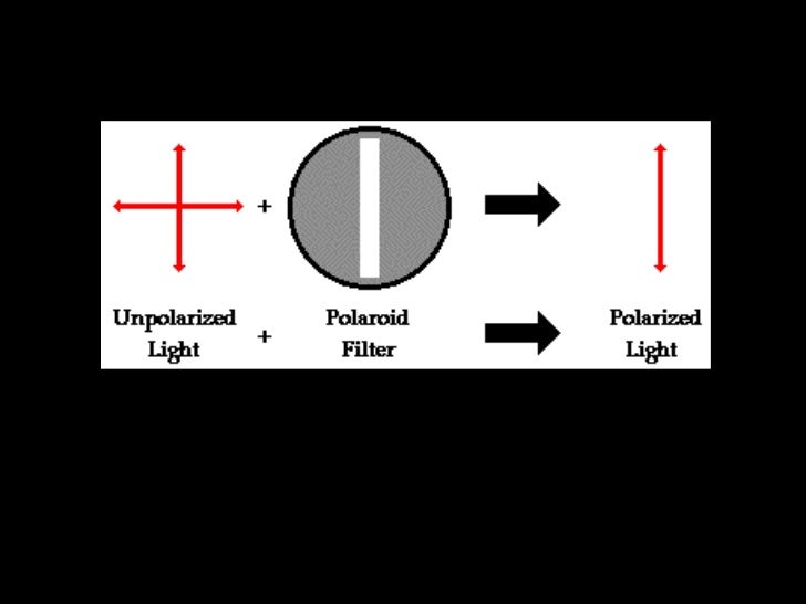 Polarity Of Light 