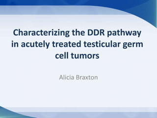 Characterizing the DDR pathway
in acutely treated testicular germ
cell tumors
Alicia Braxton
 
