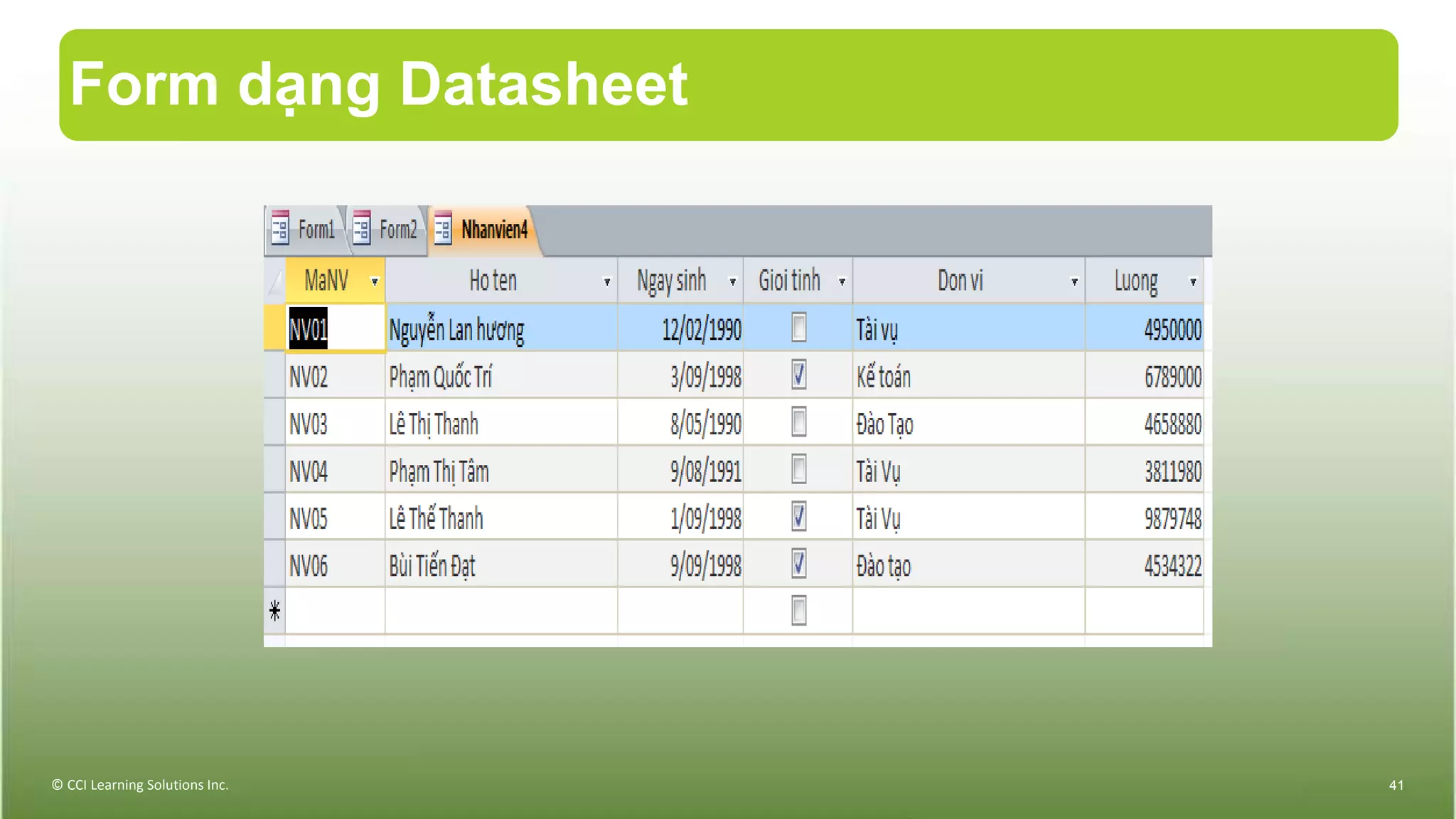 Form dạng Datasheet
© CCI Learning Solutions Inc. 41
 