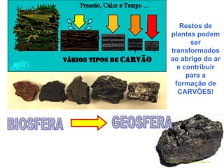 Restos de
plantas podem
       ser
transformados
ao abrigo do ar
   e contribuir
      para a
  formação de
   CARVÕES!
 