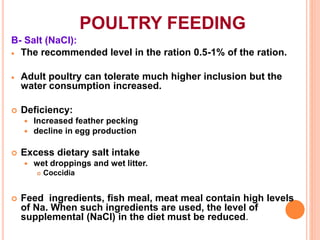 POULTRY FEEDING
B- Salt (NaCl):
 The recommended level in the ration 0.5-1% of the ration.
 Adult poultry can tolerate much higher inclusion but the
water consumption increased.
 Deficiency:
 Increased feather pecking
 decline in egg production
 Excess dietary salt intake
 wet droppings and wet litter.
 Coccidia
 Feed ingredients, fish meal, meat meal contain high levels
of Na. When such ingredients are used, the level of
supplemental (NaCl) in the diet must be reduced.
 
