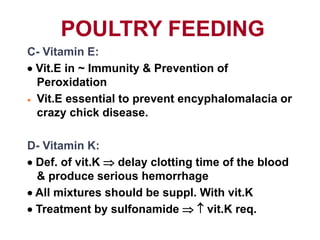 POULTRY FEEDING
C- Vitamin E:
 Vit.E in ~ Immunity & Prevention of
Peroxidation
 Vit.E essential to prevent encyphalomalacia or
crazy chick disease.
D- Vitamin K:
 Def. of vit.K  delay clotting time of the blood
& produce serious hemorrhage
 All mixtures should be suppl. With vit.K
 Treatment by sulfonamide   vit.K req.
 