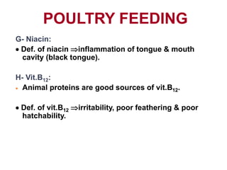 POULTRY FEEDING
G- Niacin:
 Def. of niacin inflammation of tongue & mouth
cavity (black tongue).
H- Vit.B12:
 Animal proteins are good sources of vit.B12.
 Def. of vit.B12 irritability, poor feathering & poor
hatchability.
 