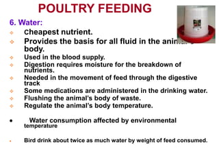POULTRY FEEDING
6. Water:
 Cheapest nutrient.
 Provides the basis for all fluid in the animal’s
body.
 Used in the blood supply.
 Digestion requires moisture for the breakdown of
nutrients.
 Needed in the movement of feed through the digestive
track
 Some medications are administered in the drinking water.
 Flushing the animal’s body of waste.
 Regulate the animal’s body temperature.
 Water consumption affected by environmental
temperature
 Bird drink about twice as much water by weight of feed consumed.
 