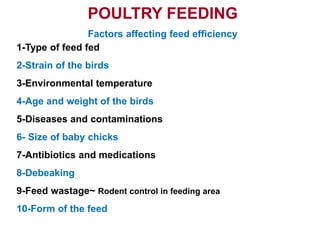 POULTRY FEEDING
Factors affecting feed efficiency
1-Type of feed fed
2-Strain of the birds
3-Environmental temperature
4-Age and weight of the birds
5-Diseases and contaminations
6- Size of baby chicks
7-Antibiotics and medications
8-Debeaking
9-Feed wastage~ Rodent control in feeding area
10-Form of the feed
 