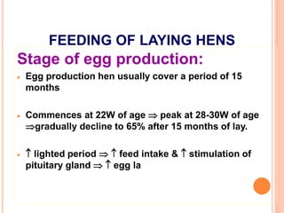 FEEDING OF LAYING HENS
Stage of egg production:
 Egg production hen usually cover a period of 15
months
 Commences at 22W of age  peak at 28-30W of age
gradually decline to 65% after 15 months of lay.
  lighted period   feed intake &  stimulation of
pituitary gland   egg la
 