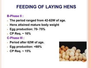 FEEDING OF LAYING HENS
B-Phase II :
 The period ranged from 42-62W of age.
 Hens attained mature body weight
 Egg production: 70- 75%
 CP Req. ~ 16%
C-Phase III :
 Period after 62W of age.
 Egg production: <60%
 CP Req. ~ 15%
 