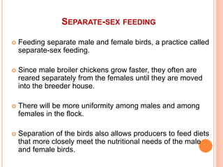 SEPARATE-SEX FEEDING
 Feeding separate male and female birds, a practice called
separate-sex feeding.
 Since male broiler chickens grow faster, they often are
reared separately from the females until they are moved
into the breeder house.
 There will be more uniformity among males and among
females in the flock.
 Separation of the birds also allows producers to feed diets
that more closely meet the nutritional needs of the male
and female birds.
 