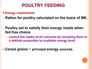 POULTRY FEEDING
1-Energy requirement:
 Ration for poultry calculated on the basis of ME.
 Poultry eat to satisfy their energy needs when
fed free choice
 control the intake of all nutrients by including them in
a definite proportion to available energy level.
 Cereal grains ~ principal energy sources.
 